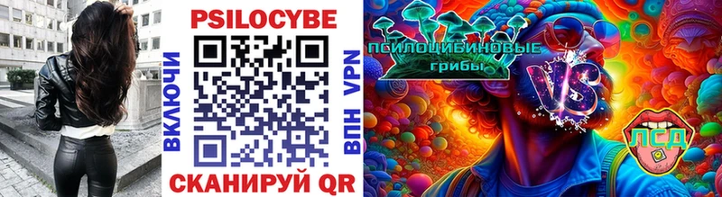 Псилоцибиновые грибы прущие грибы  Нестеровская 